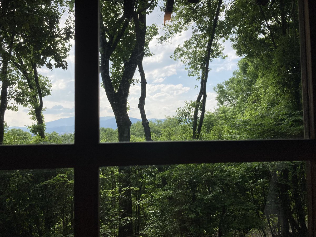 Shiroro820's tweet photo. 森の中のカフェから
#茂庵 
#吉田山
#森
#カフェ
#forest
#cafe
#windowview 
#nature https://t.co/3ryo6CqYi0