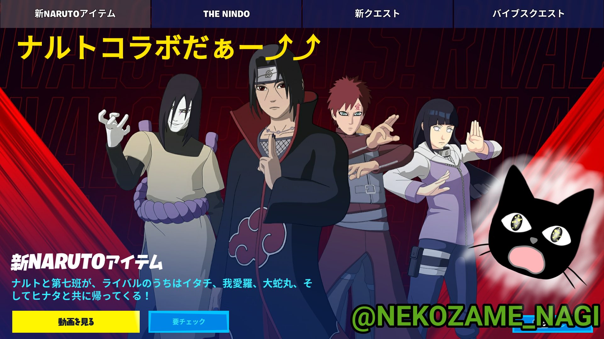 ネコザメ にゃぎねぎ Nekozame Nagi Negi Nekozame Nagi Twitter
