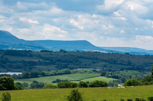 Albaugh_UK's tweet photo. We've seen some great images this month, but there's still time to enter June's #RotamPhoto #competition! If you're judged to have tweeted the best, then you'll win a £100 donation made in your name to your choice of @yanafarming @FCNcharity @RABIcharity or @RSABI. https://t.co/I6bMTYpvVD