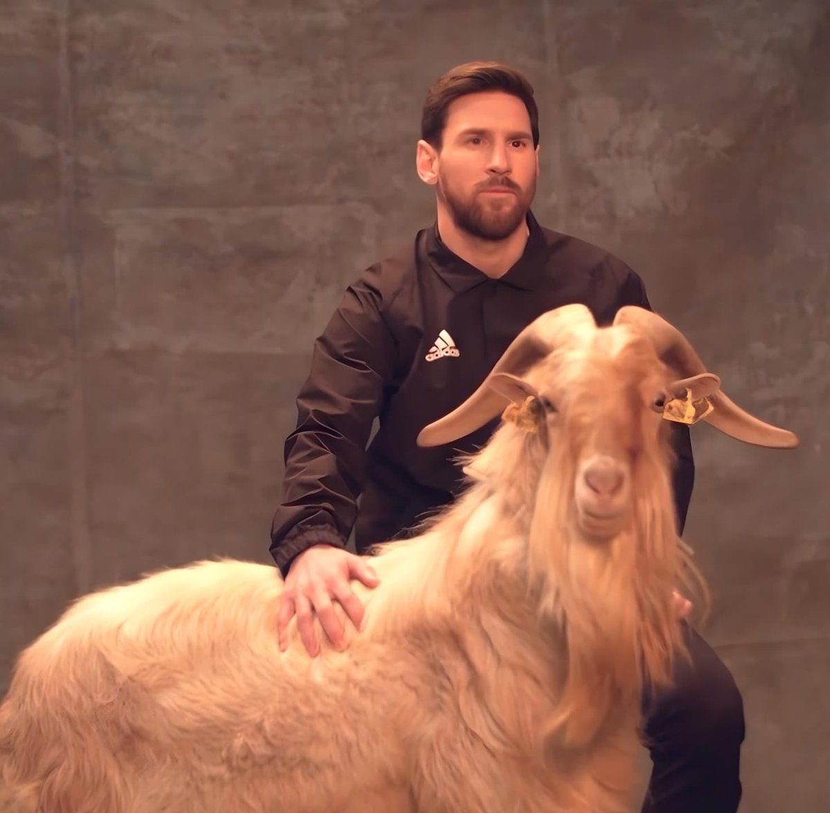 rantymaga's tweet image. A : Bhaiya! Bakrid Mubarak ❤️

B : Aaj Bakrid nahi hai re!!

A : Hai Bhaiya! Aaj GOAT ka birthday...