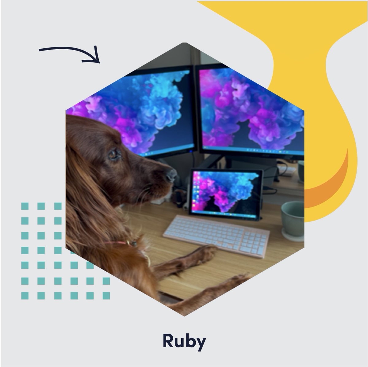 _digitalbeehive's tweet photo. Happy Bring Your Dog To Work Day!
 
To celebrate, we thought we’d share with you some of our paw-fect work partners. To show our support for our four-legged friends @_digitalbeehive has donated to the @dogstrust!

#bringyourdogtoworkday #contractmanagement #projectmanagement https://t.co/VQfgcjGoii