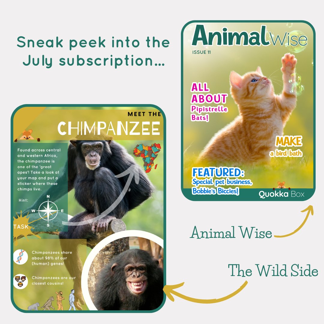 Here's what's coming up in our July subscription...

In Animal Wise, we're meeting Artie &amp; his special pet business, plus all the usual features! The Wild Side is taking us to Africa to learn all about chimpanzees &amp; why these amazing apes need our help.

bit.ly/3GxxL58