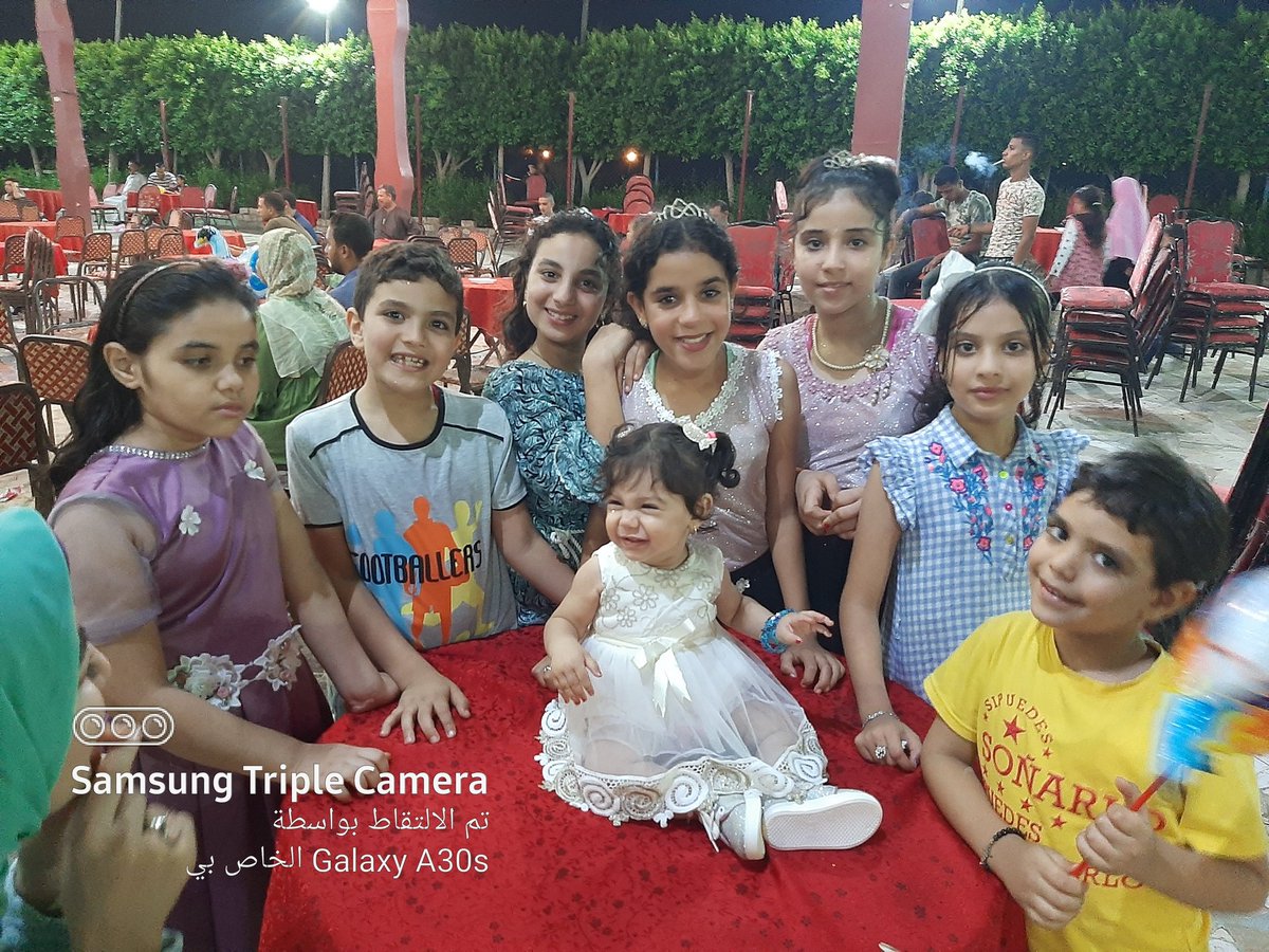 Alshimaa Reda tweet media
