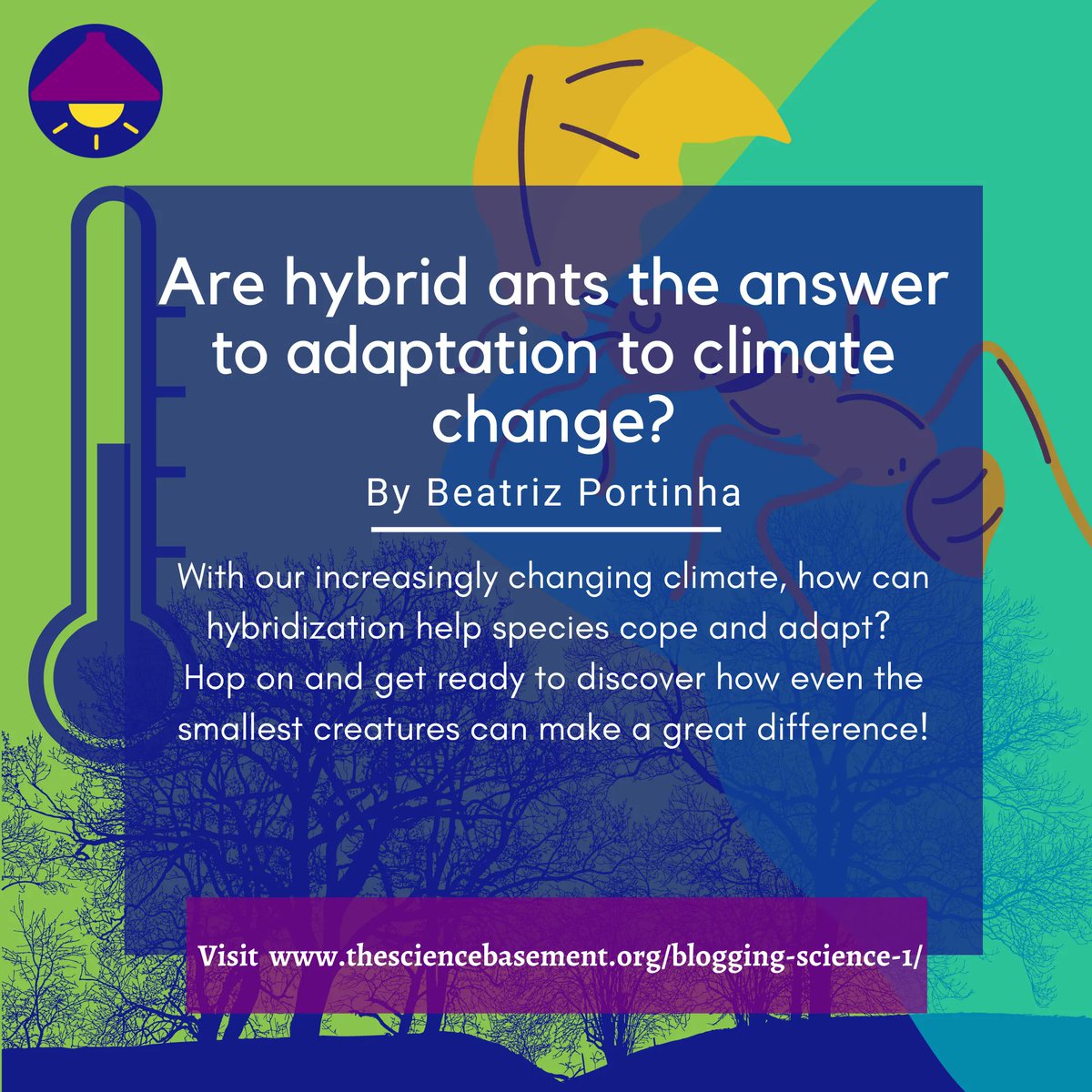 ScienceBasement's tweet photo. Our 4th blog from ‘The Anthropocene’ is out. Come read about ARE HYBRID ANTS THE ANSWER TO ADAPTATION TO CLIMATE CHANGE? by Beatriz Portinha @bcportinha from #helsinkiuni &amp; #ulisboa 🐜🐜🐜🐜🌍🍃🐜🐜🐜🐜
🟩Read the blog 👉https://t.co/4uTzIxfEEo
#scicomm #TSB #scienceblogging https://t.co/hpDzicKlWQ