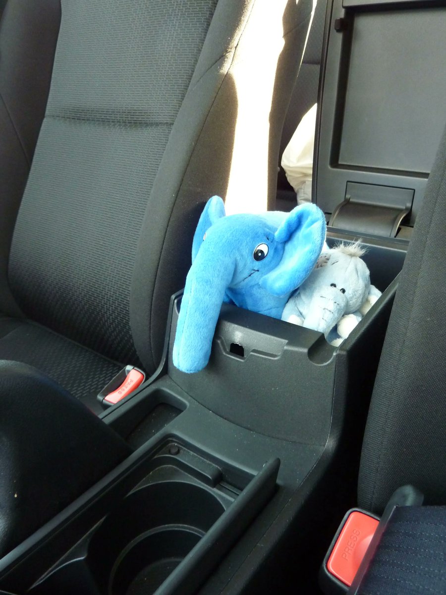 cube_solutions's tweet photo. 2 fun eleph(p)ants taking the car for some sightseeing... #elephpants #ontheroad #phpjobs #funattheoffice https://t.co/BkJ3vKCBzf