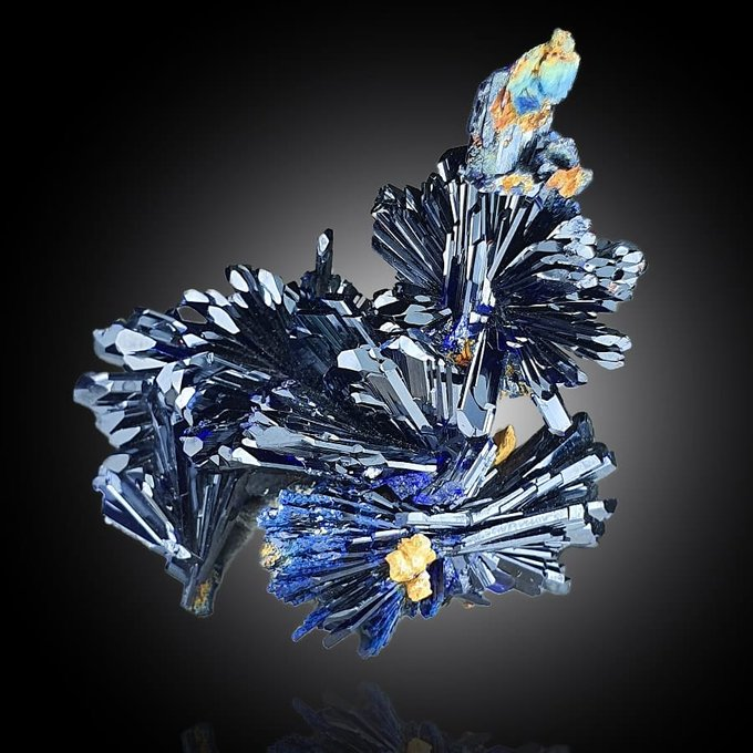 bob56300's tweet photo. TOUISSIT c'est aussi des pierres exceptionnelles #cerussite #anglesite #azurite #malacite #auplata https://t.co/BQ3OF9Gt4G