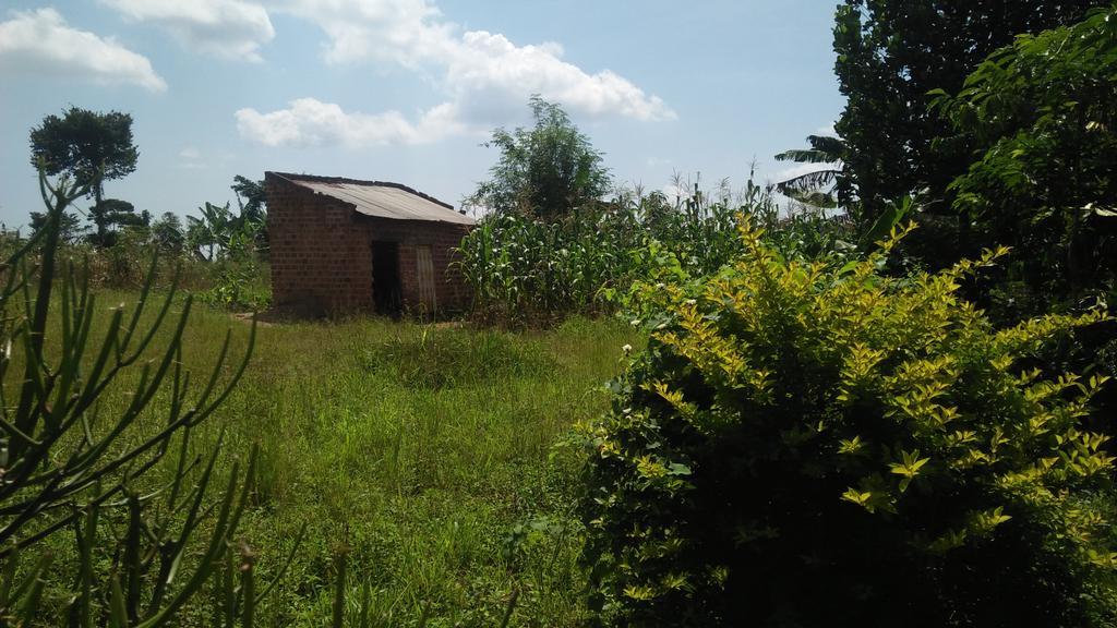 ATTENTION! ATTENTION!
land for sale suitable for farming.
Dimension; 2 acres with land title.
Price; 270m negotiable.
District; mukono.
County; kyagwe.
Note: “No space for brokers”
For more information DM or WhatsApp or call the owner on 0756118106.
“LET'S TALK BUSINESS”