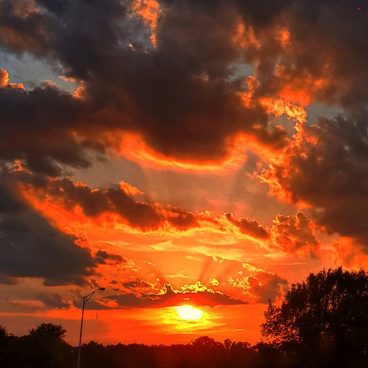 entityphylum's tweet photo. We all have a life to live & inevitably we do so but the sun has a miraculous way of giving us all never ending #energy without the entities. No more entities is the goal & wish for you all in this #sunset have a beautiful weekend. #sun #entityphylum #rise #fire #secrets #beaware https://t.co/qoqzyuTXwW