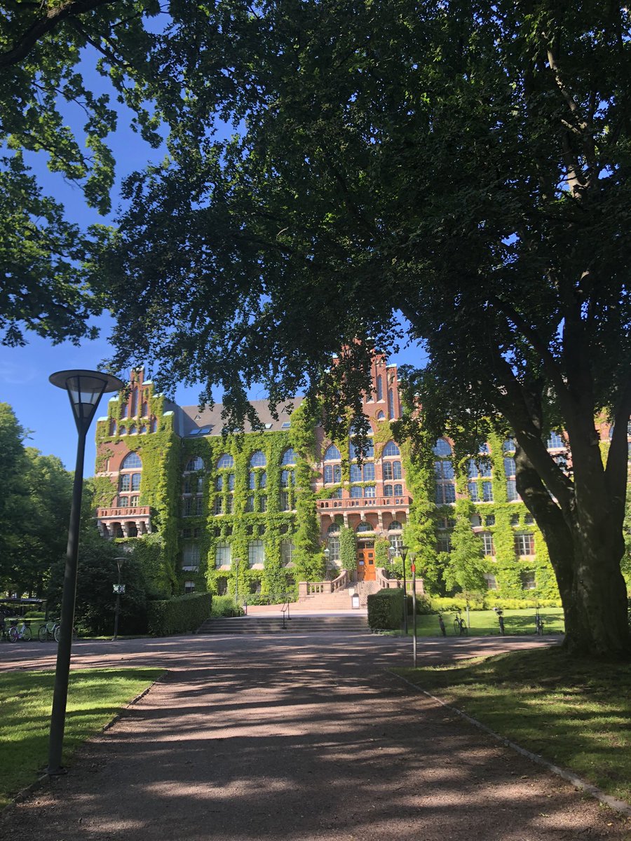 EpiEpiNet - Epileptogenesis & Epilepsy Network tweet media