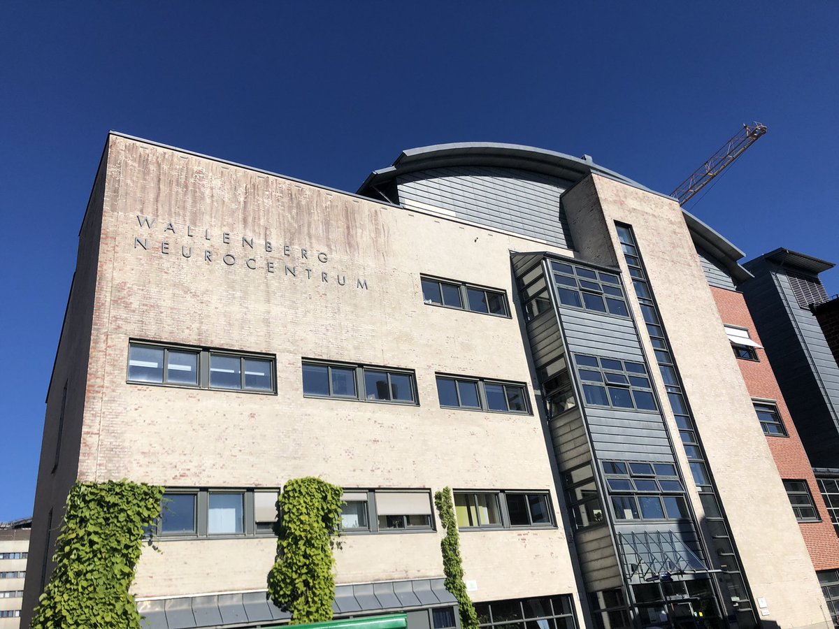 EpiEpiNet - Epileptogenesis & Epilepsy Network tweet media