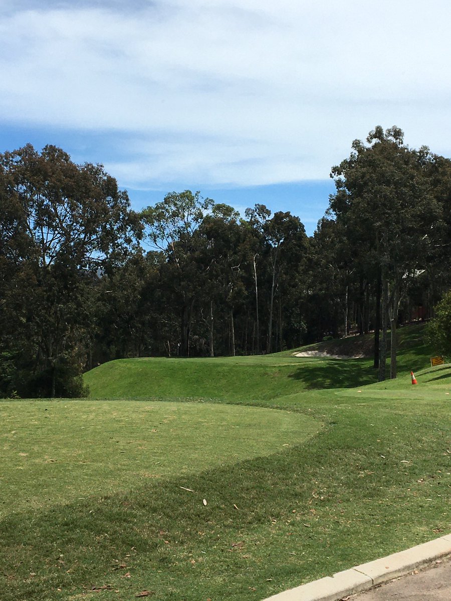 Craig Molloy tweet media