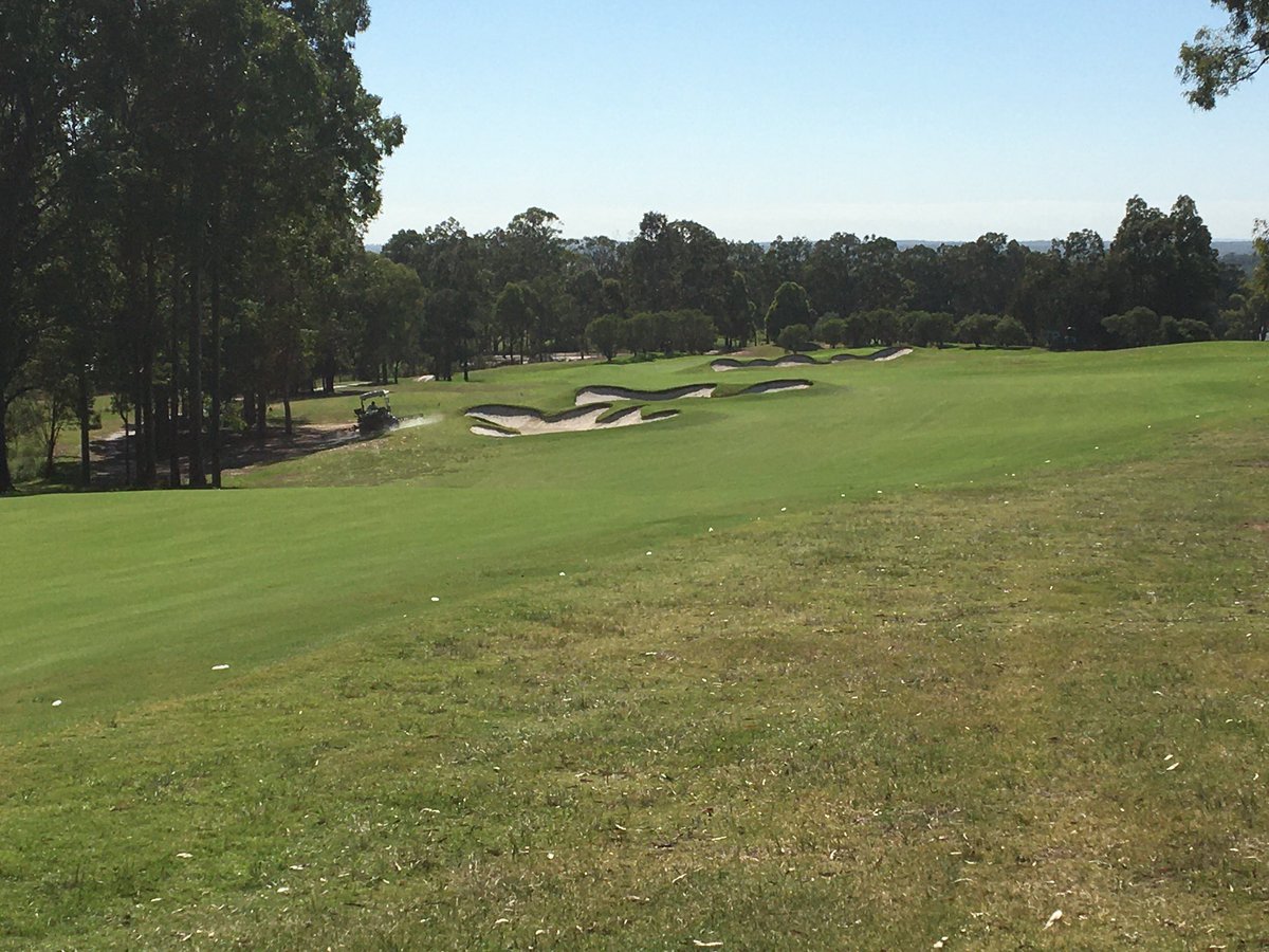 Craig Molloy tweet media