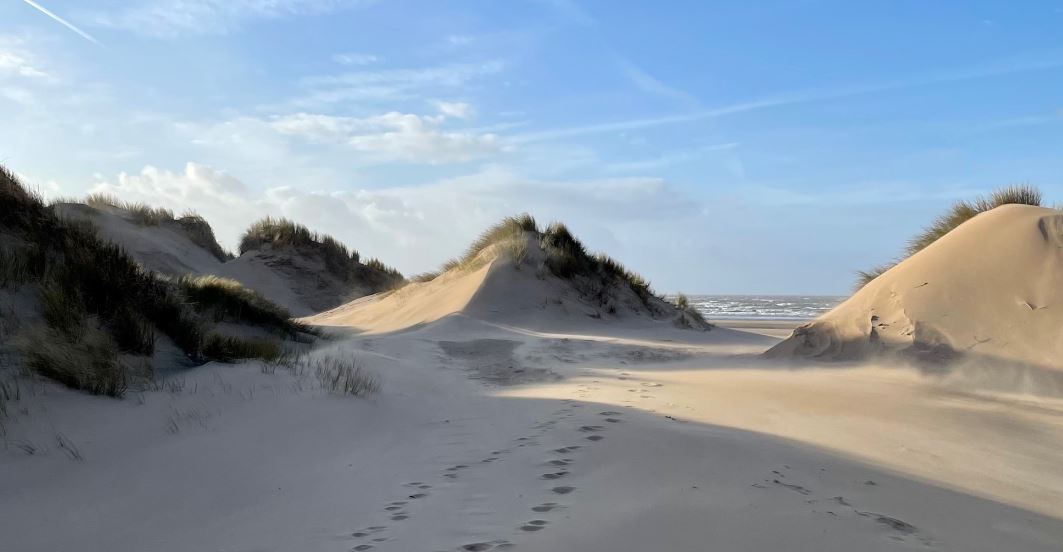 Qlocal Southport tweet media