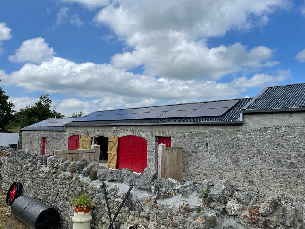 Fergal O' Malley tweet media