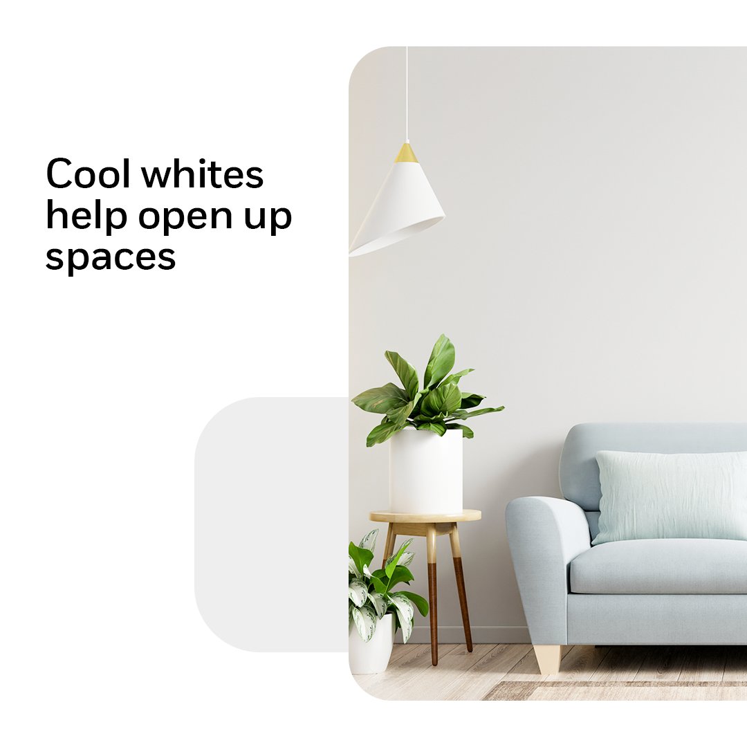 ACRO PAINTS (@ACROPAINTSDELHI) / Posts / X