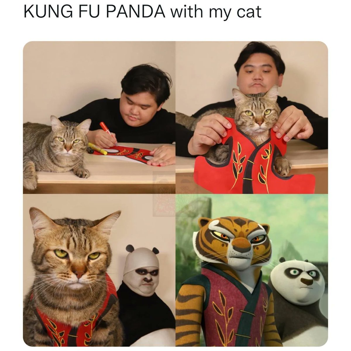 WholesomeMeme's tweet image. 