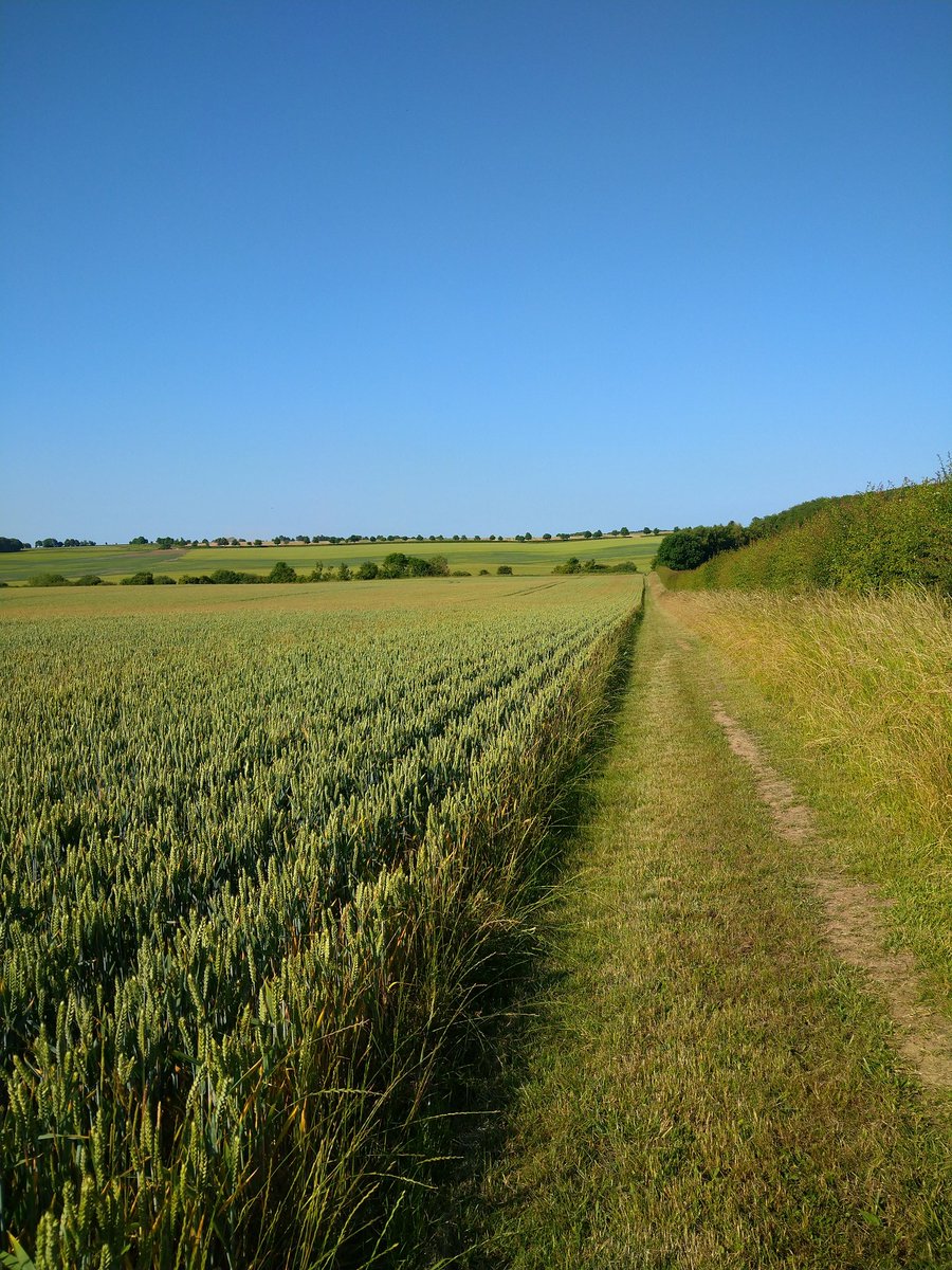 Not always easy to get motivated to do some exercise after a bit of a gap. But running/walking in beautiful countryside certainly helps.