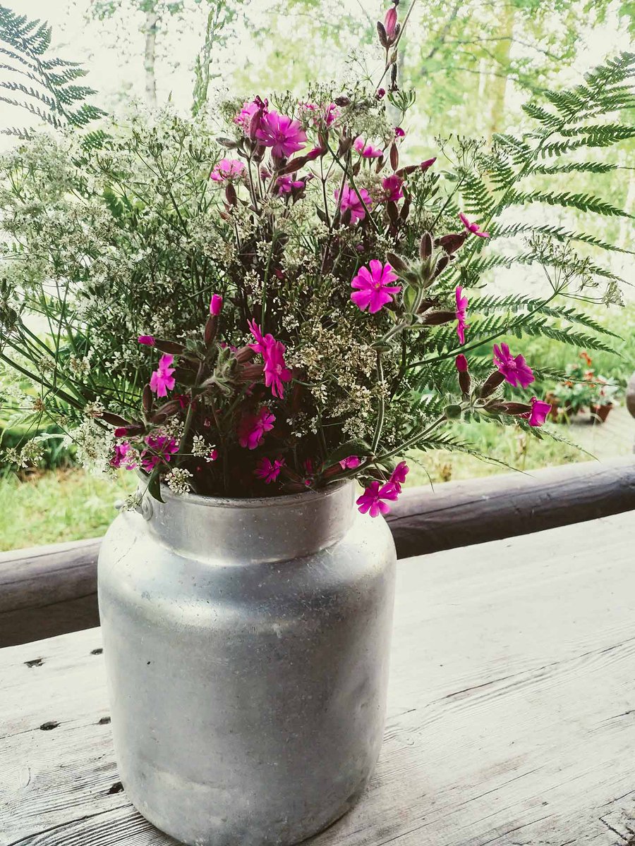 Pinja_official's tweet photo. Hyvää juhannusta! Happy midsummer! 🌞🌞🌞 #pinja #juhannus #midsummer #yötönyö https://t.co/LjzR1noXDJ