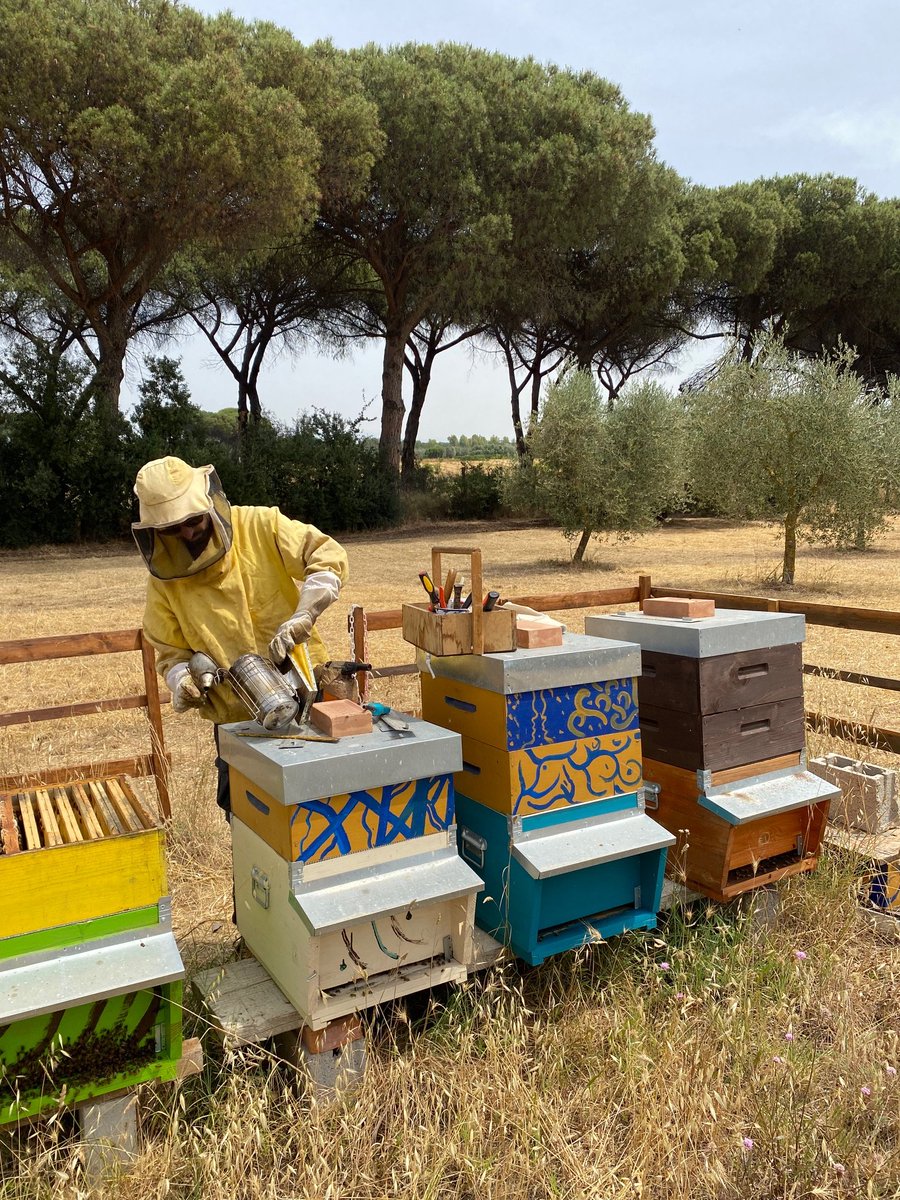 At Giardini di Torricola, an urban garden in Appian Park,  we learned about horticulture, beekeeping and regenerative agriculture as a means of social aggregation and cultural sharing.  #urbangarden #rome #biodiversity  #studyabroad