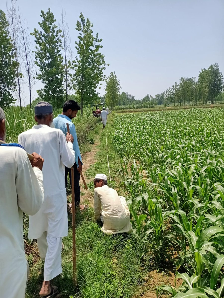 tehsilkhatauli's tweet photo. उप जिलाधिकारी खतौली श्री जीत सिंह राय के कुशल निर्देशन में सम्बन्धित लेखपाल एवं राजस्व टीम के द्वारा ग्राम पंचायत बेगराजपुर में खसरा नंबर 113 चकरोड क्षेत्रफल 0 .०४२० हेक्टेयर की आवश्यक पैमाइश कर पर अवैध कब्जा मुक्त कराया गया। जिसको ग्राम प्रधान एवं सचिव को सुपुर्द  किया गया। https://t.co/YLA0uYvuYR