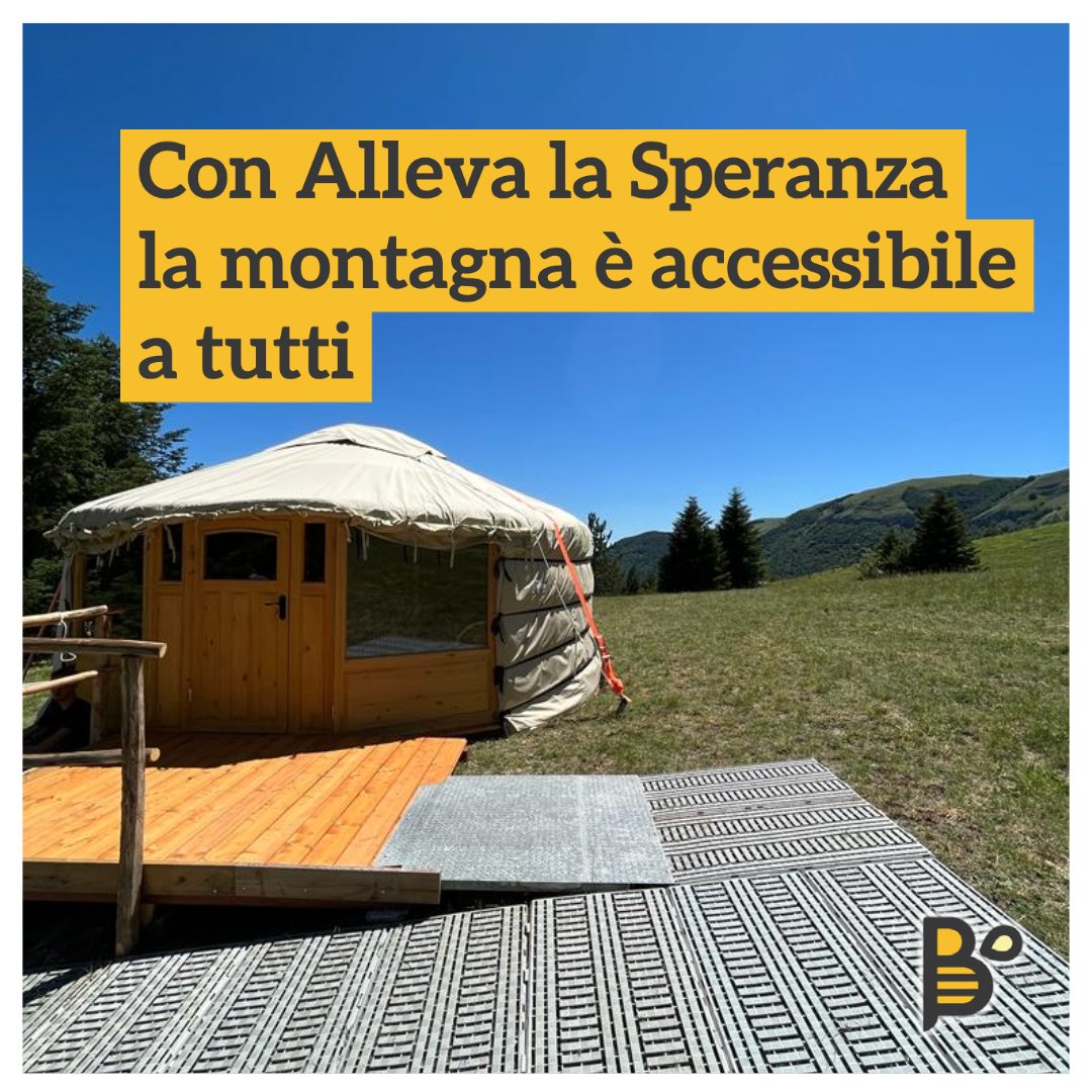 PlanBee 🐝 🍀 tweet media