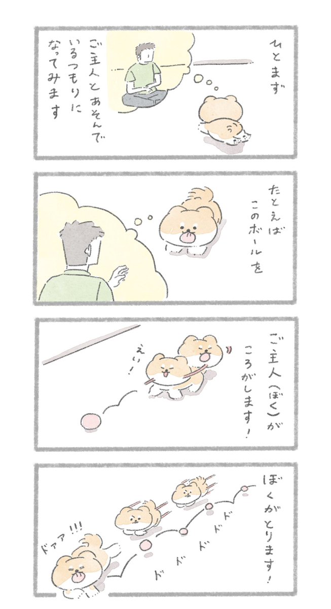 あそんでいるつもり 
#こんにちはいぬです 