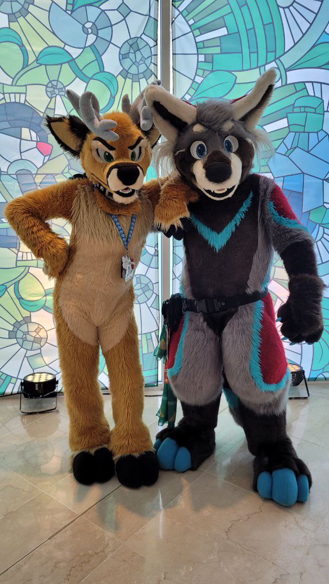titanpandaroo's tweet photo. Don’t mind me, just hanging out with @Tirrelous this #FursuitFriday! #SenpaiNoticeMe #SuchAPanderp https://t.co/nKbngXYqmP