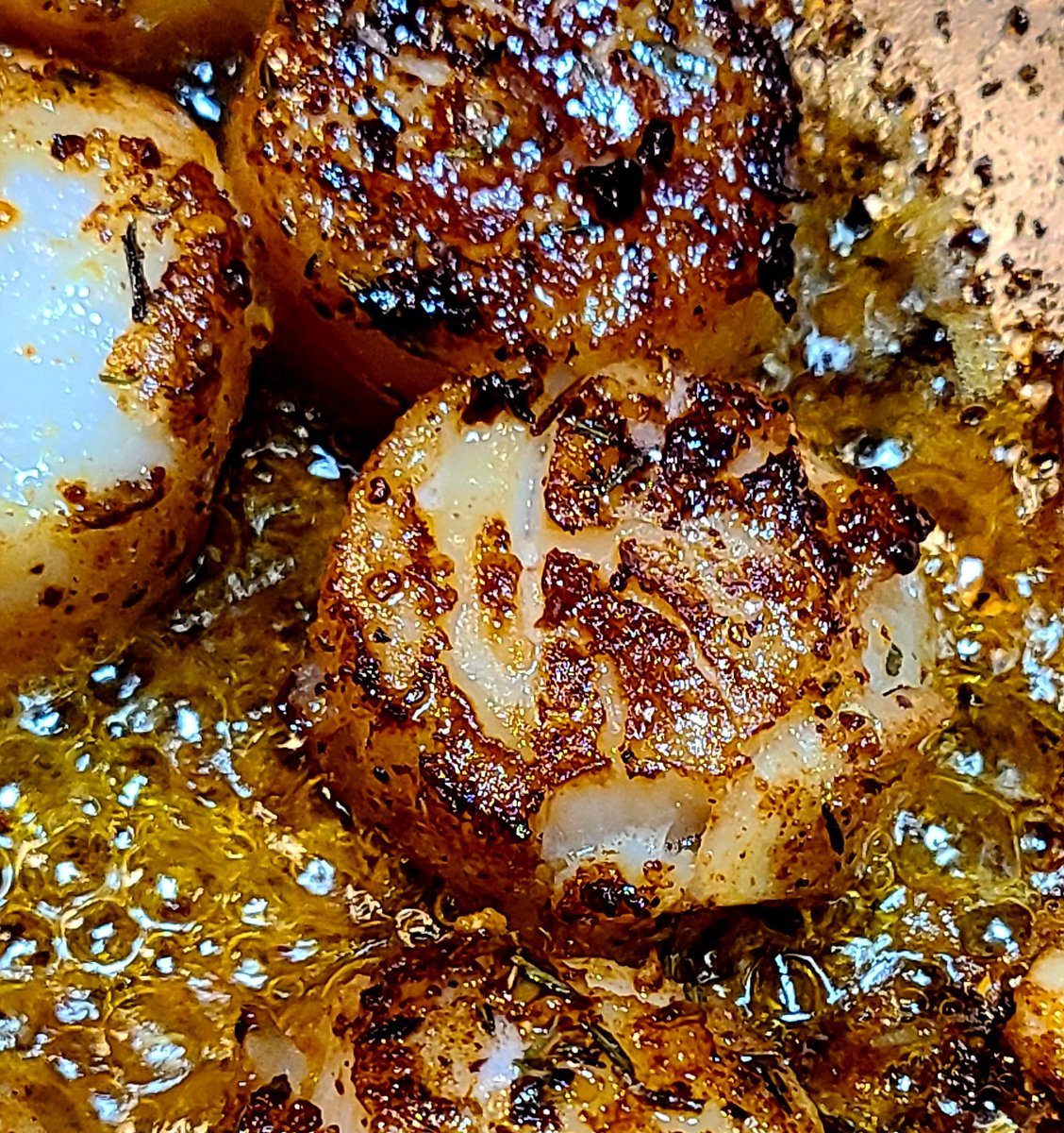 GryffonRidge's tweet photo. Scallops anyone? New blend coming to website today.  #kentuckycreek https://t.co/J9ormdOlWO