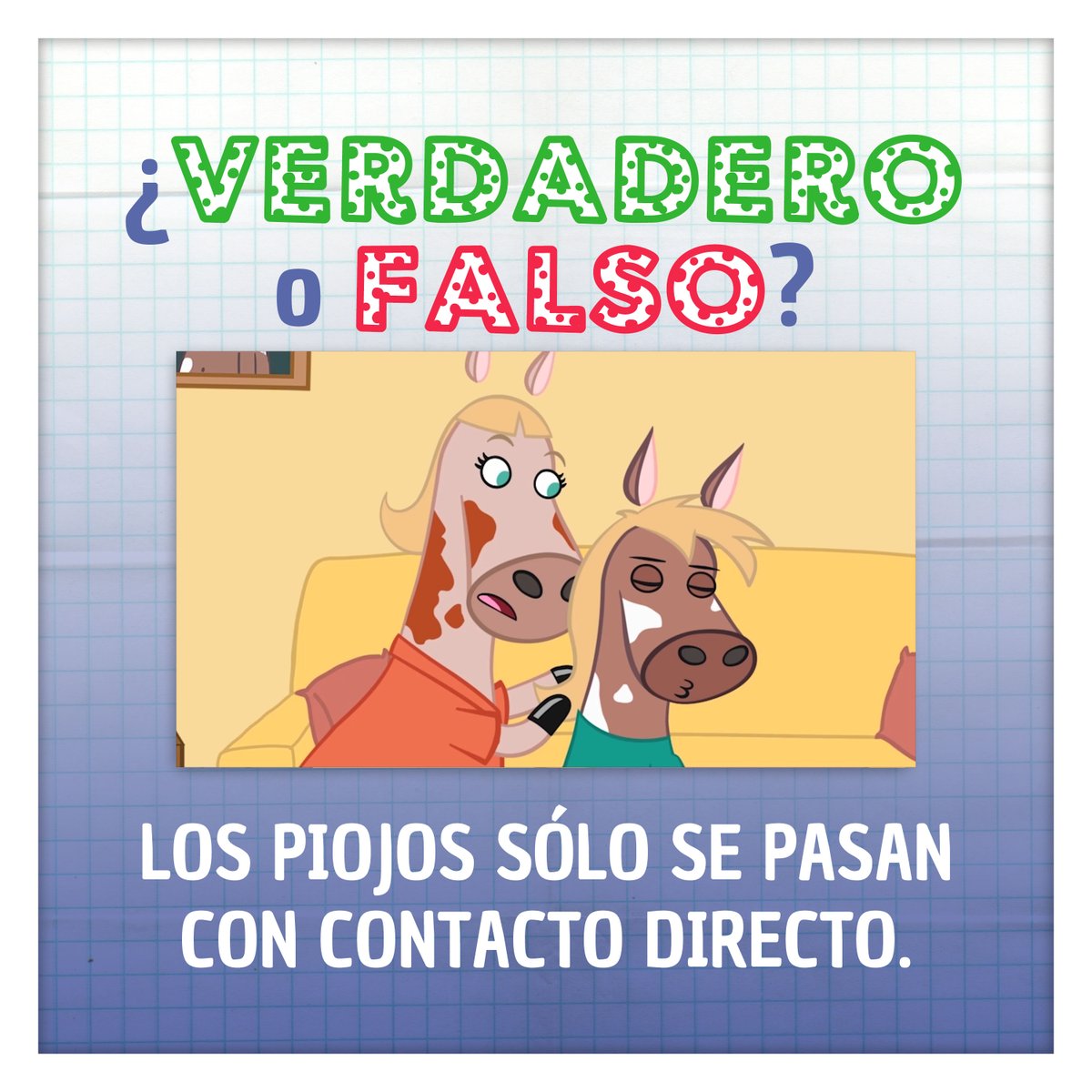 crocodoctv's tweet photo. Para evitar el contagio, ¡es muy importante lavar bien todo lo que ha estado en contacto con la cabeza de alguien con piojos! 🙆 

#CrocoDoc #Piojos #Lice #Educational #Animation https://t.co/8q10lEux87