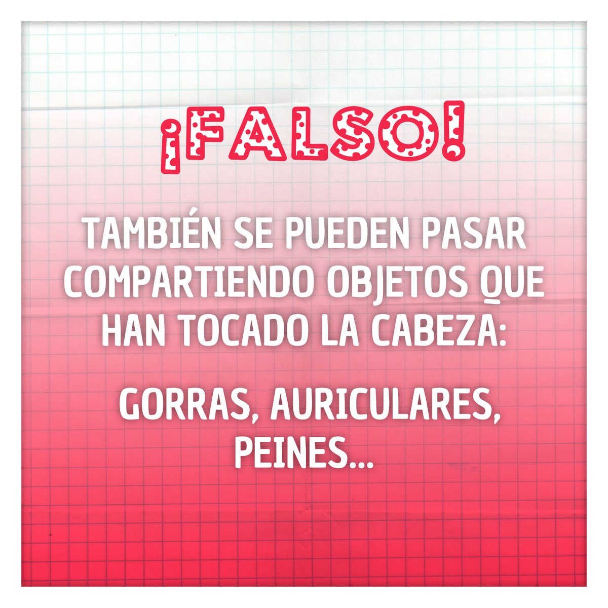 crocodoctv's tweet photo. Para evitar el contagio, ¡es muy importante lavar bien todo lo que ha estado en contacto con la cabeza de alguien con piojos! 🙆 

#CrocoDoc #Piojos #Lice #Educational #Animation https://t.co/8q10lEux87