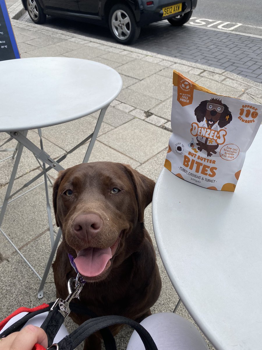 GUIDE BRIDGE MOT tweet media