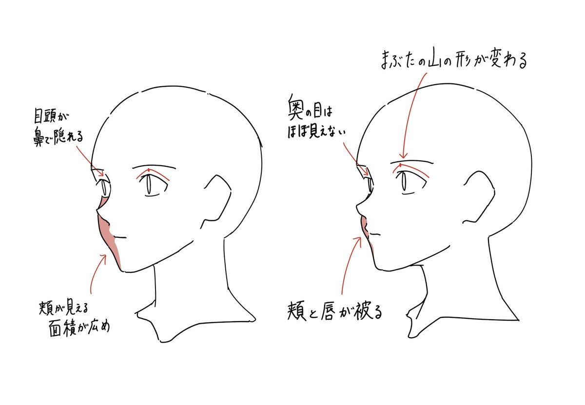 微妙に角度が違う斜め顔の描き分けです。 