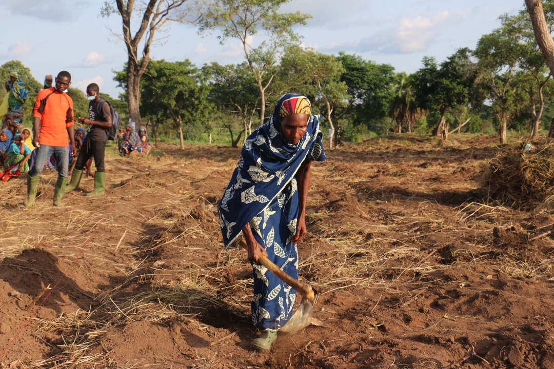 WFP_Cameroon's tweet photo. #Cameroon🇨🇲 

For many years, @WFP has been successfully working with #communities to rehabilitate degraded #Land &amp; improve livelihoods for #people living in #drought affected areas of CMR🇨🇲 

Today, we honor their commitments of #UNited4Land

@UNCCD https://t.co/ltrwXMwx3i