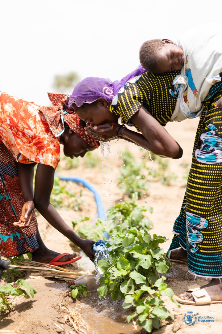 WFP_Cameroon's tweet photo. #Cameroon🇨🇲 

For many years, @WFP has been successfully working with #communities to rehabilitate degraded #Land &amp; improve livelihoods for #people living in #drought affected areas of CMR🇨🇲 

Today, we honor their commitments of #UNited4Land

@UNCCD https://t.co/ltrwXMwx3i