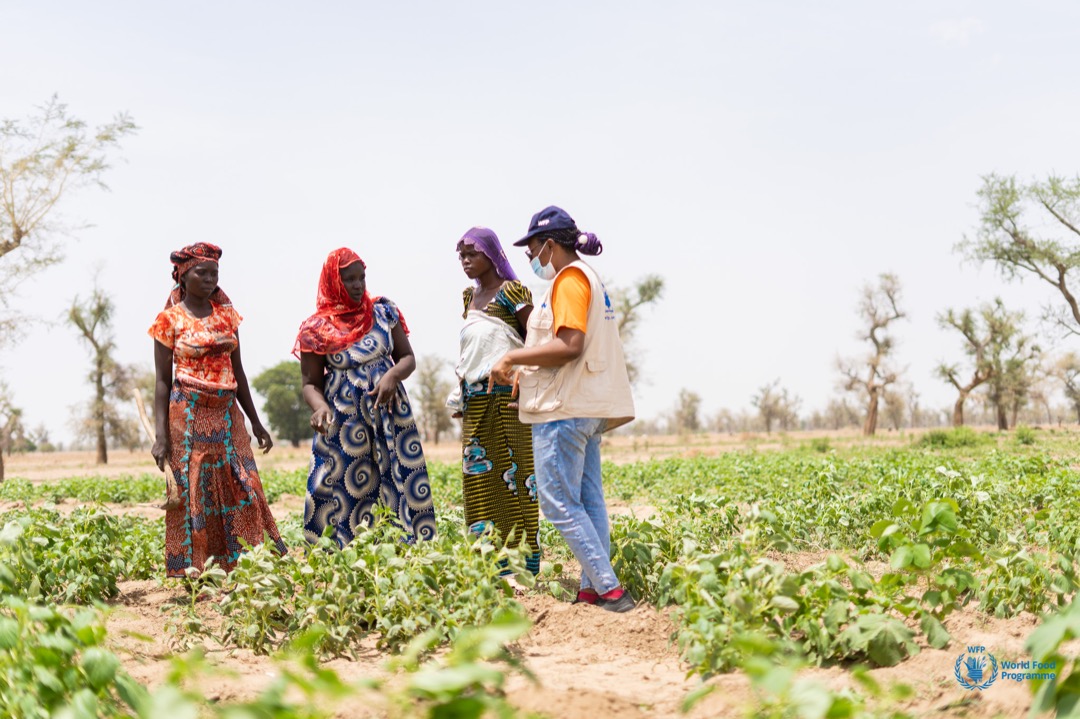 WFP_Cameroon's tweet photo. #Cameroon🇨🇲 

For many years, @WFP has been successfully working with #communities to rehabilitate degraded #Land &amp; improve livelihoods for #people living in #drought affected areas of CMR🇨🇲 

Today, we honor their commitments of #UNited4Land

@UNCCD https://t.co/ltrwXMwx3i