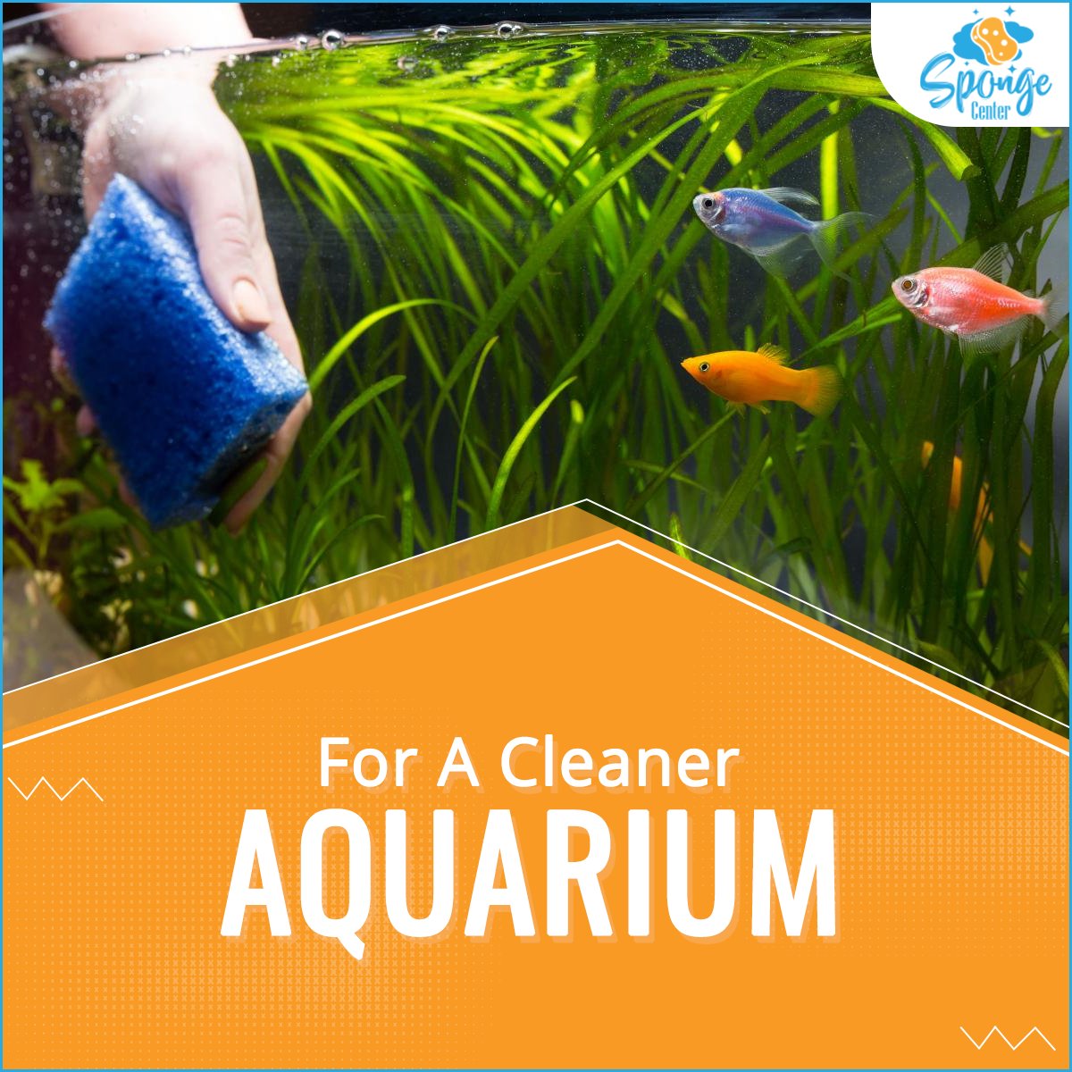CenterSponge's tweet image. Filter out debris and all the unwanted junk from the aquarium. Shop the best Filter Foam Sponge at spongecenter.com  
Shopping link: spongecenter.com/product-catego…

#SpongeCenter #Tile #Grout #Sponges #CleanSponges #FoamSponge #SpongeManufacturers #HighQualitySponges