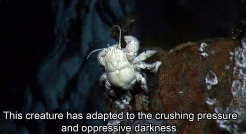 Interviewer: How has your degree shaped you for this career?
Me: