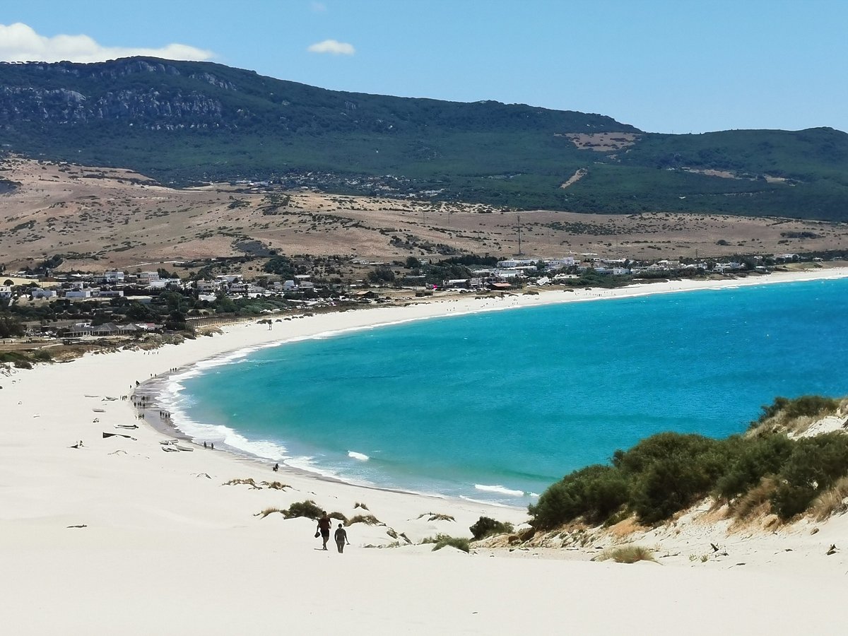 Hemos dado comienzo al verano y en Andalucía tenemos una gran variedad de playas de las que podemos disfrutar. En el post de hoy os traemos 20 lugares para disfrutar de nuestra tierra. ¡¡Haz clic!!
viajes.nationalgeographic.com.es/.../playas-mas...
#playas #andalucia #verano2022 #redpiso