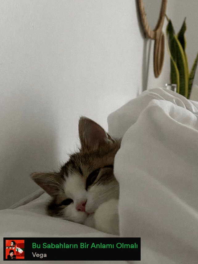 Listenary. #Dinlemiyoruz (@listenary) on Twitter photo 