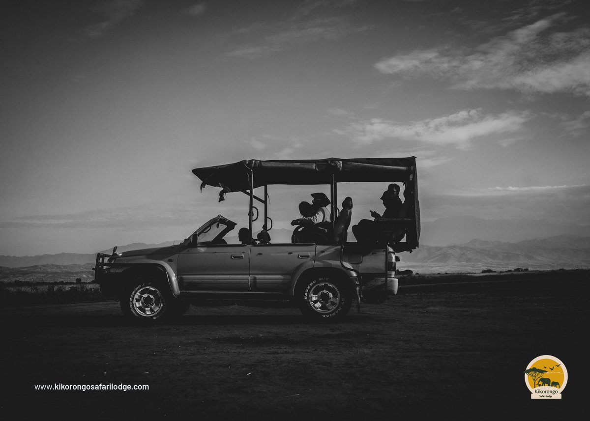 kikorongolodge's tweet photo. Step out into the untamed #Kikorongo &amp; experience a profound awakening  of your spirit of adventure! 

Hold  nothing back in a 3 day communion with mother nature for a soul restoring experience in the wild! 

Book now https://t.co/57A8KQiJIu

#ExploreUganda https://t.co/RJ4kzryoAJ