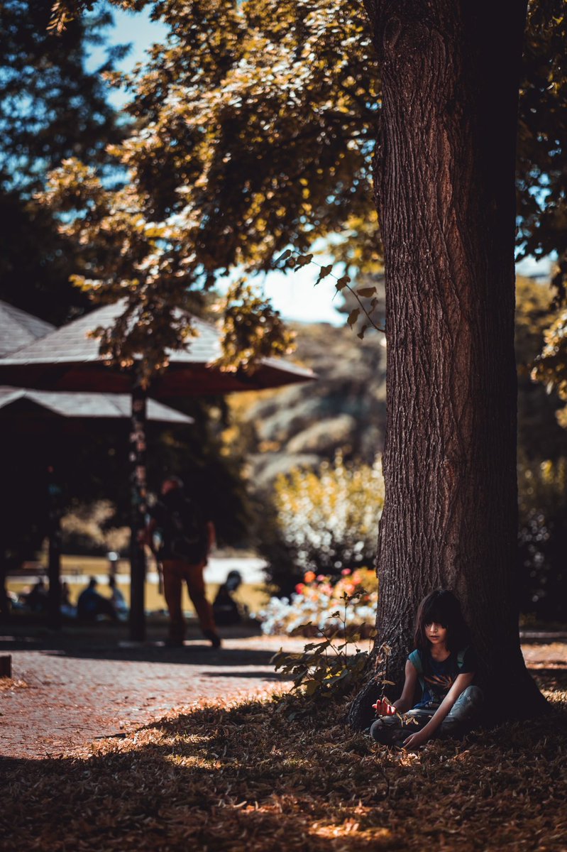chemic's tweet photo. Hot day in Vienna #85mm #sonya7c #a7c #streetphotography https://t.co/s29Xw4ttlR