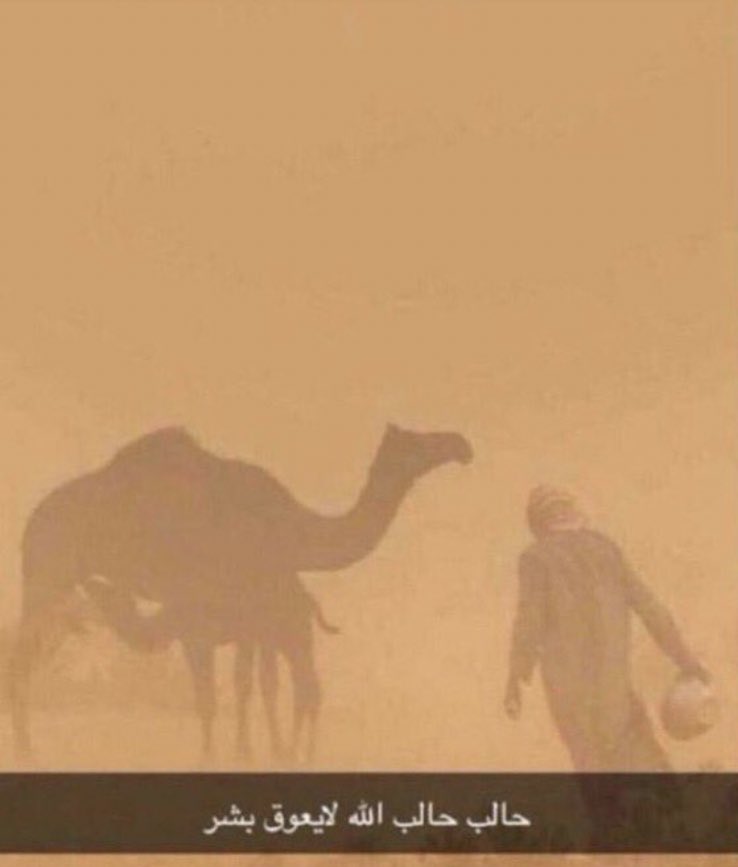 lq_3a's tweet photo. @fut_fifaa Ea ع نهاية اللعبه:
لاكن والله حماس https://t.co/49i0It7gLk
