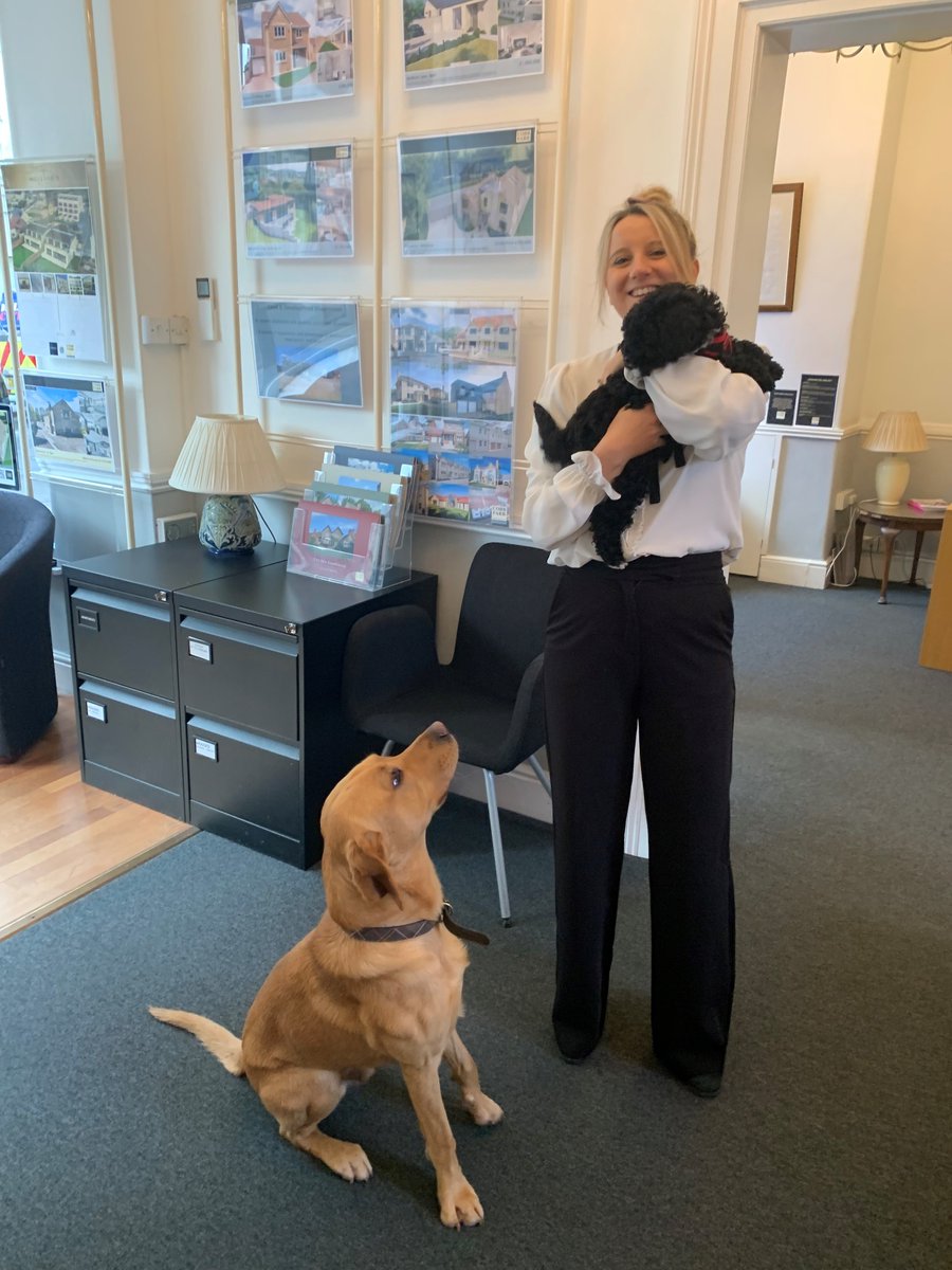 CobbFarr's tweet image. Happy bring your dog to work day! 

We love have having Nigel and Ziggy in the office 🐶❣️

#bringyourdogtoworkday #dog #dogatwork #bath  #dogday