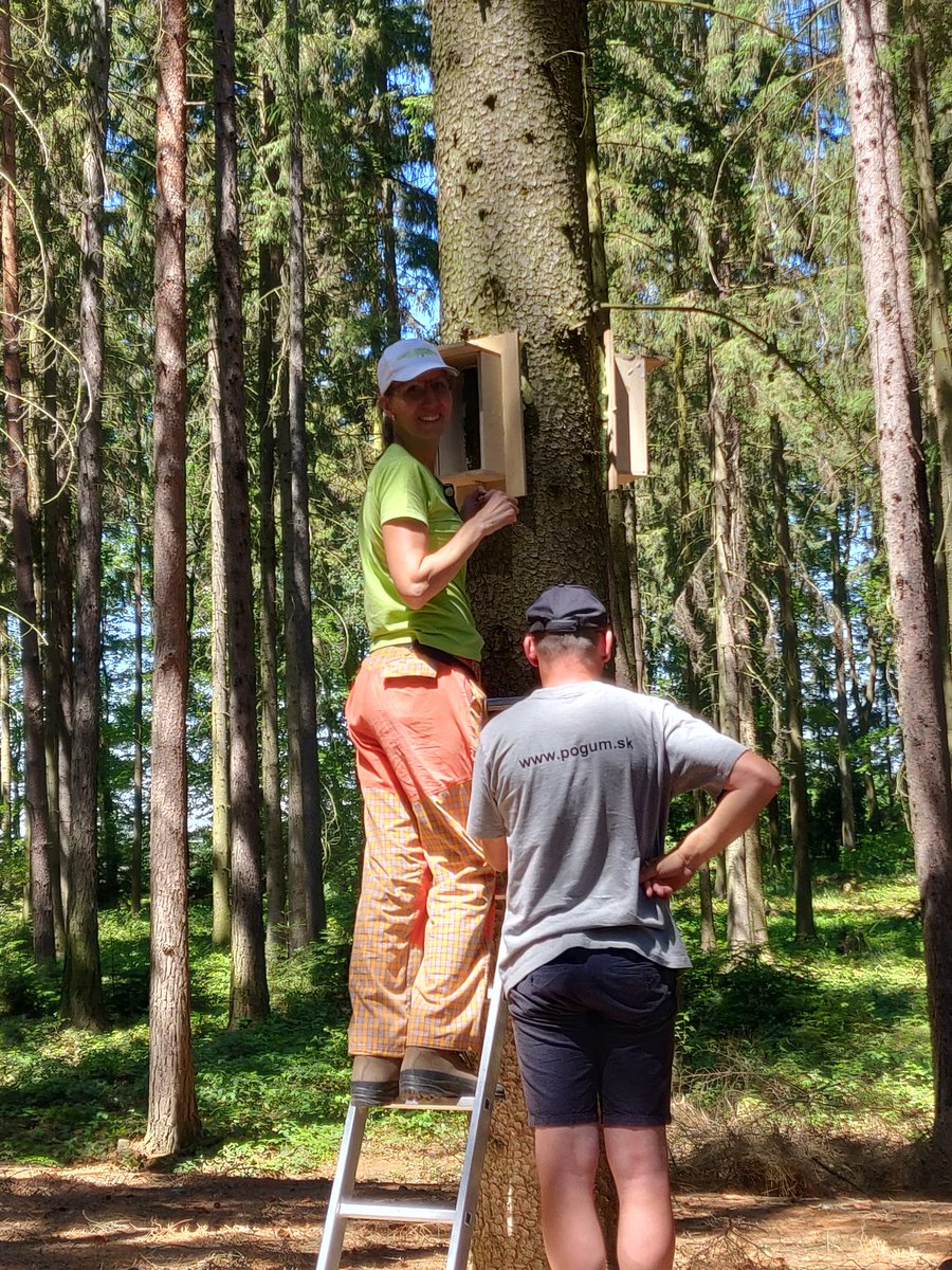noob_scientist_'s tweet photo. Our box experiment finished yesterday in cooperation with @DE_Research_ . We had great time working together in Kostelec #EXTEMIT-K plots. Stay tuned for more updates on this. @CzuFld #EXTEMIT https://t.co/lJtVPUellx