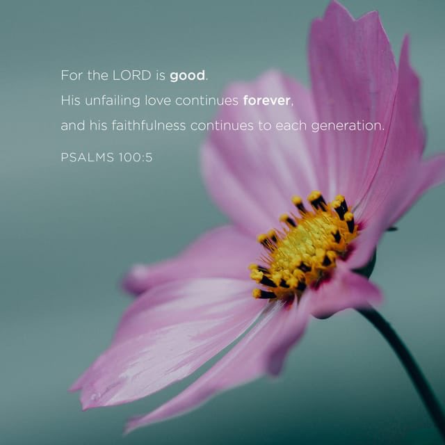 GLEAMLupus's tweet photo. https://t.co/aInJkNs6yJ https://t.co/mGpvpzXsWU