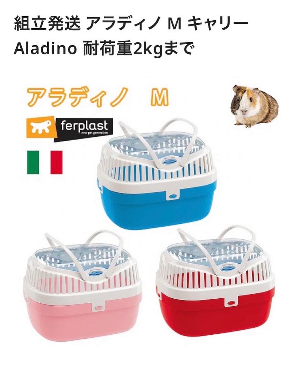 ichigoichie1104's tweet photo. らびちゃんのキャリーの蓋が壊れてしまい、多分似たキャリーを見つけ、注文しました🐰💕
色は指定出来ず、何色が届くかちむどんどん笑です💓です😆💓
#うさぎ
#うさぎのいる暮らし 
#うさぎのいる生活 
#うさぎ好き 
#キャリー 
#うさぎキャリー
#rabbit
#らびちゃん
#ferplast https://t.co/RT5T5i0nji