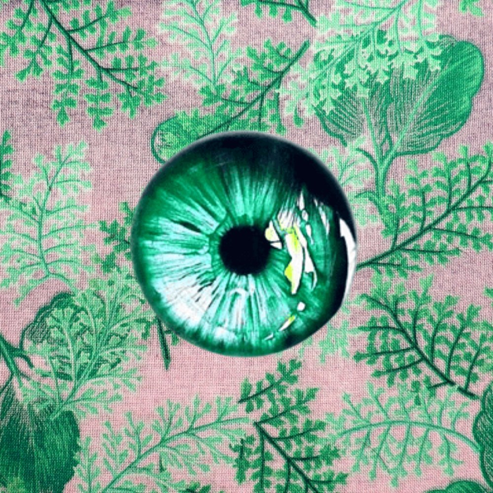 ProlificArts's tweet photo. Buy, collect, and sell awesome abstract flora eye NFT art and enhance your digital art gallery (Abstract illustrated art #0040) #nft #nfts #nftart #NFTartist #abstractnft #floranft #eyenft #NFTProject #NFTCommunity #nftidea https://t.co/iIZfE8PmL5