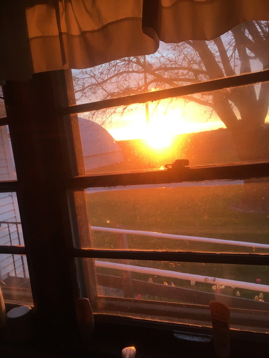 wdaileyjr56's tweet image. Good morning!