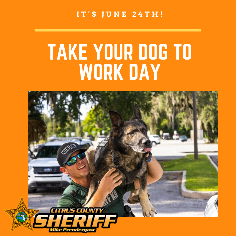 SheriffCitrus's tweet photo. What’s better than taking your dog to work?  Taking them to work with you at the Citrus County Sheriff’s Office!  Join CCSO as an Accounting Analyst.
Job Description:  https://t.co/9juxYHLPvH
Job Application:  https://t.co/dCNU4ez7bq
#CCSOconnecting #AccountingAnalyst 
(1704) https://t.co/HJhRNzuQoG