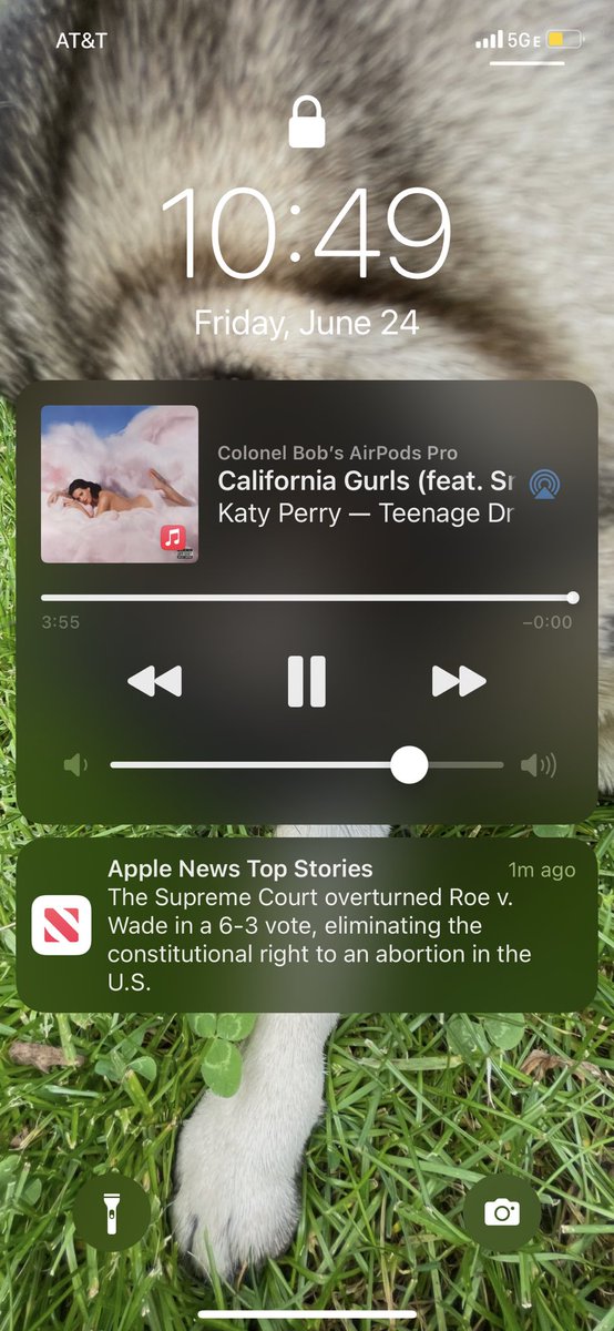 ☠️☠️☠️☠️☠️☠️☠️☠️